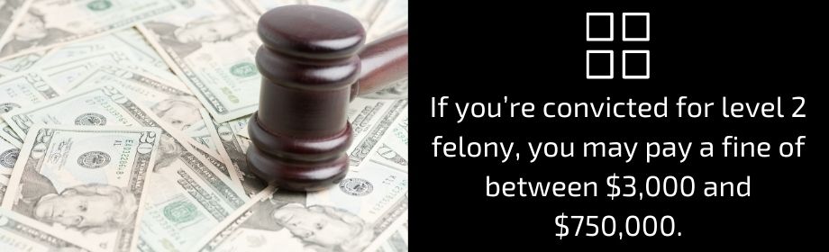 Felony